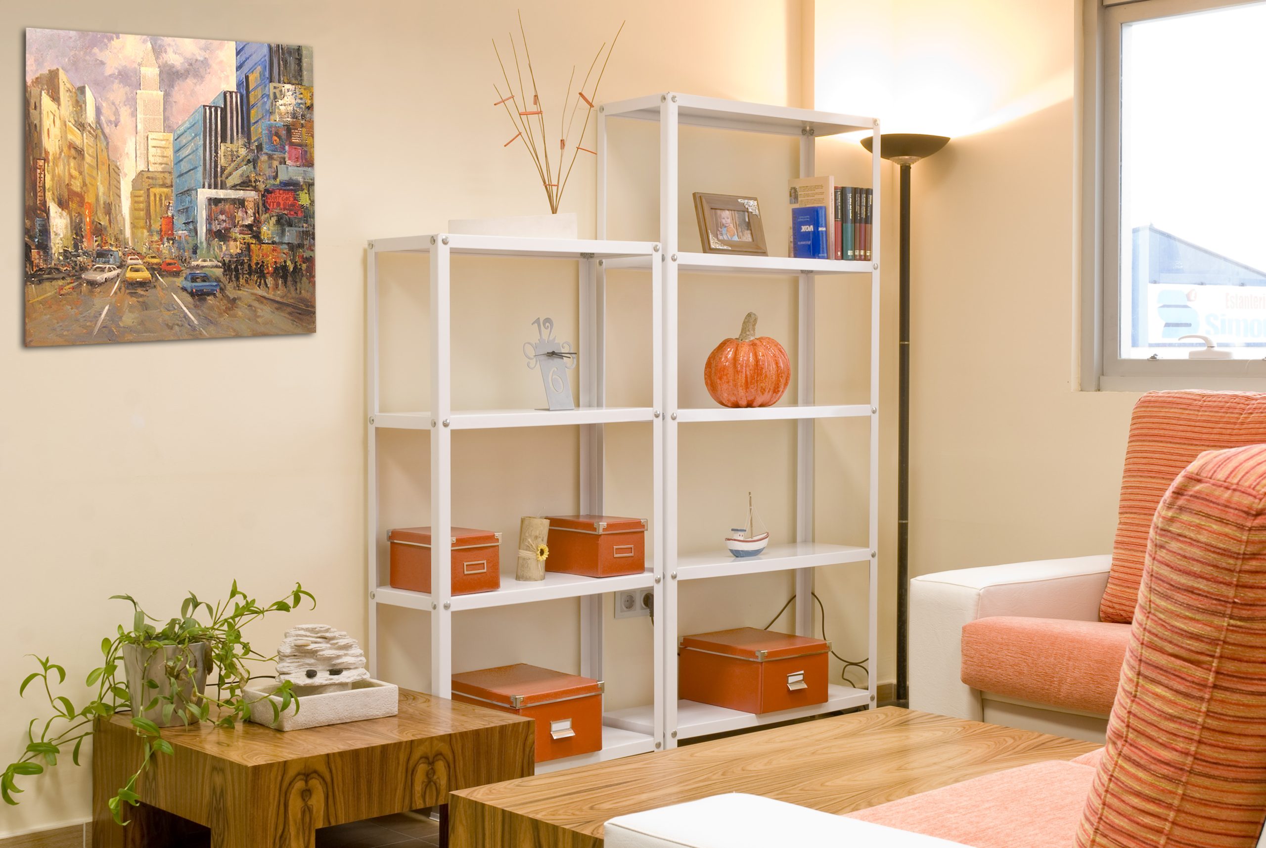 Estanterías para Salón