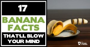17 Banana Facts That'l17 Banana Facts That'll Blow Your Mindl Blow Your Mind