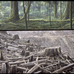 Robert Bateman Carmanah Contrasts | 1989, Acrylic on Canvas, 40x45 © Robert BatemanCurrently on display in Environmental Impact