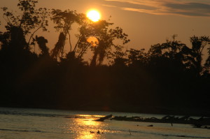 The Tambopata River, Southeastern Peru © M. C. Tobias