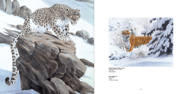 Arthur Singer (Left) Siberian Tiger In the Winter, Watercolor & gouache on board, c. late 1970s, Private Collection (Right) Snow Leopard, Oil on canvas, c.1984, Estate of Arthur Singer