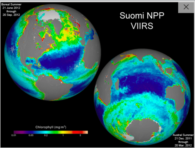 Summer chlorophyll concentration in the northern hemisphere and the southern hemisphere, 2012. Image credit: NASA/SuomiNPP/NormanKuring