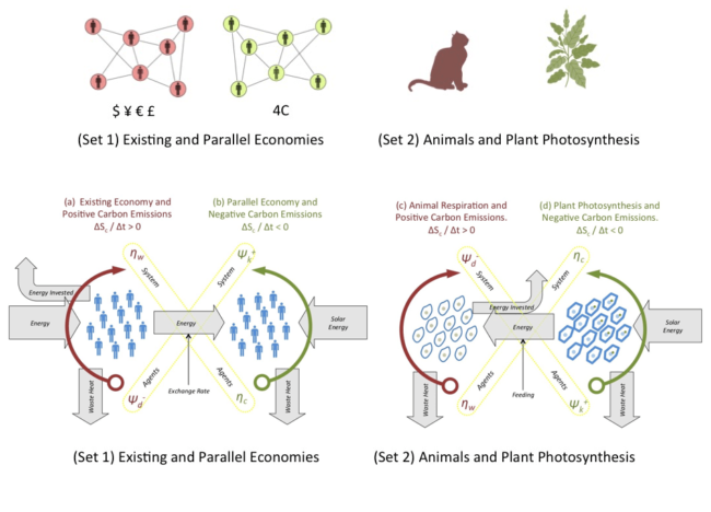 Figure S2-4. Results of the probabilistic theory for multi-agent systems in relation to (Set 1) two economic systems, and (Set 2) two multi-cellular organisms. The theory is that a single multi-agent system cannot achieve carbon neutrality, but two multi-agent systems can achieve a net-zero carbon balance if the thermodynamic skills of these systems are time-asymmetric as shown in the diagrams for (Set 1) two economic systems, and (Set 2) two multi-cellular organisms.