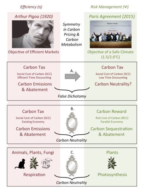 Figure S2-5. The Silver Gun Hypothesis is the interpretation that the objectives of (top left) market efficiency, and (top right) climate safety, have resulted in a false dichotomy in carbon pricing (A). A resolution to the climate crisis is to address climate safety with a Global Carbon Reward (B). This approach aims to normalize the problem of climate change by equating human economies with natural multi-agent systems, such as animals, plants and fungi (C). 