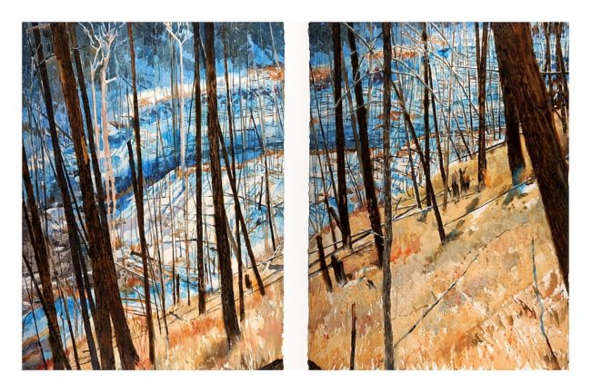 Pick-up Sticks (Barrièrre Fire near Kamloops, B.C.) watercolor on paper with pyrography, 30” x 44” diptych (2012)