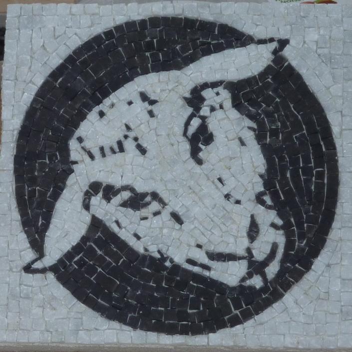 Mieke Ceusters Mosaico