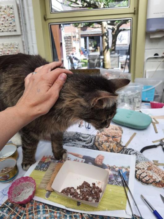 Romeinse mozaïek met een twist