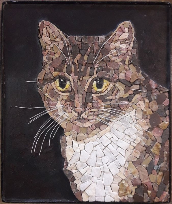 Portret kat