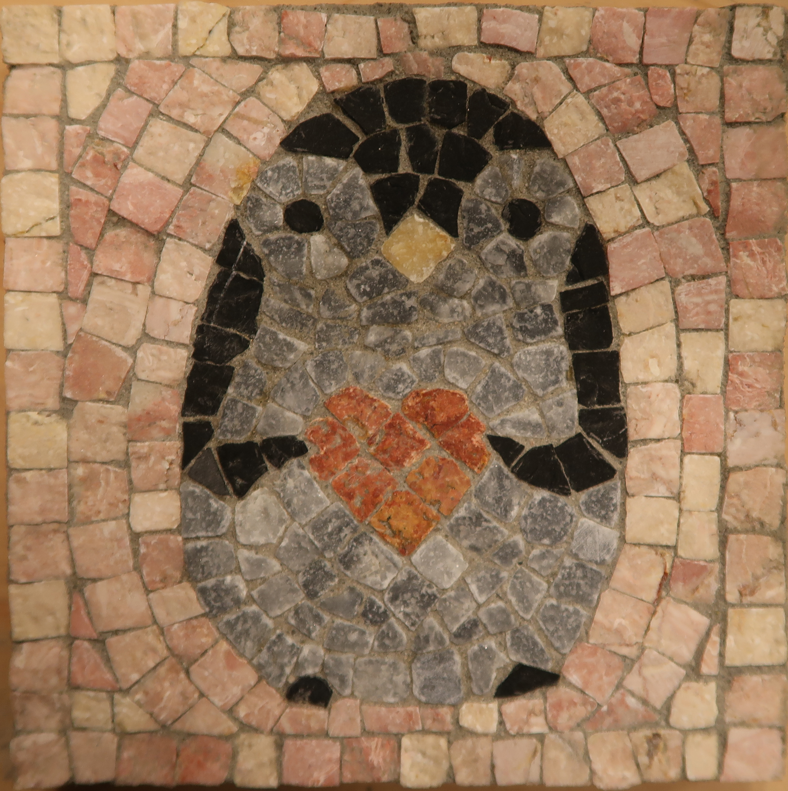 Pinguïn in love